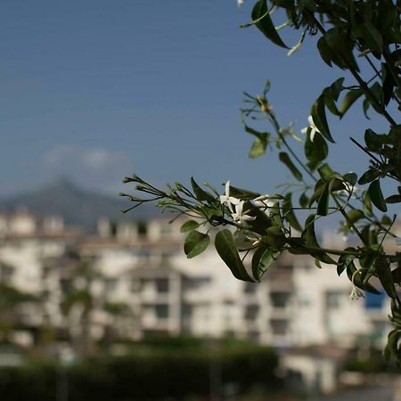 Cozy Apartment Banús Marbella Kültér fotó